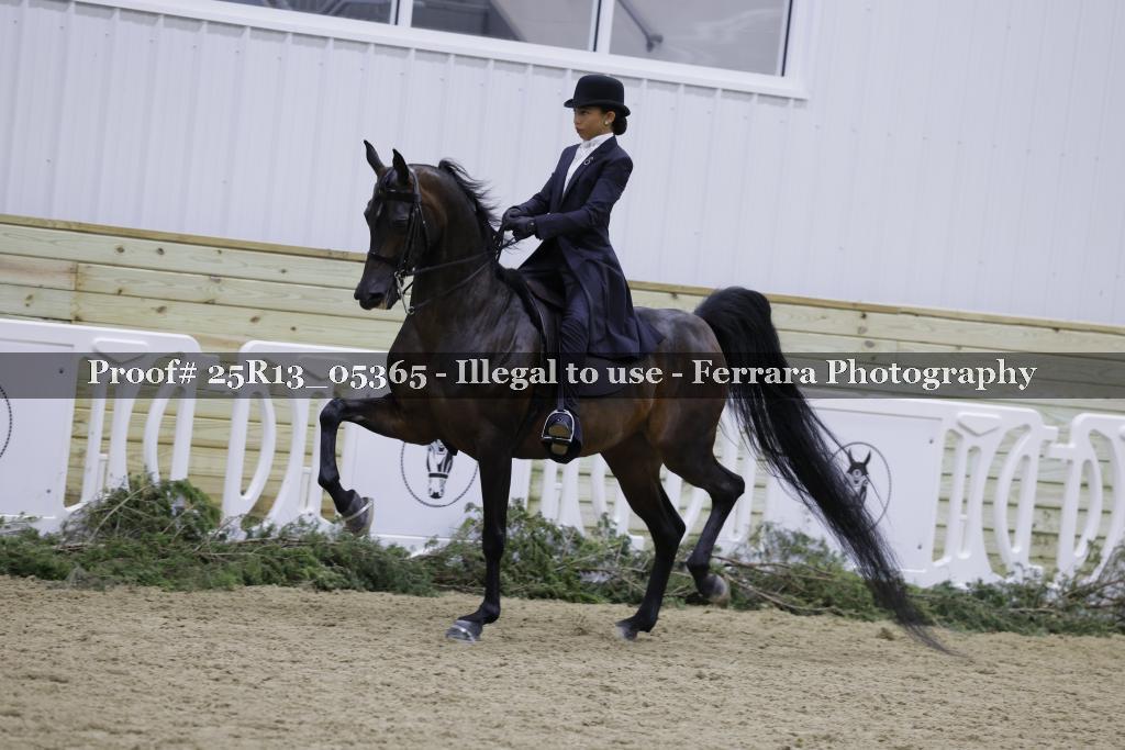 Proof 25R13_05365