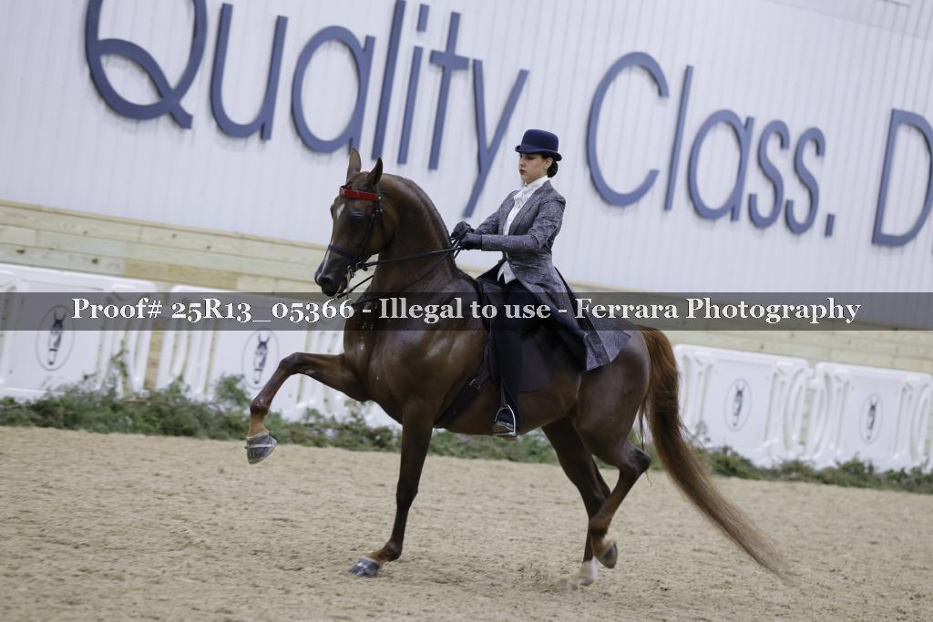 Proof 25R13_05366