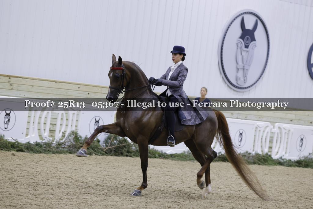 Proof 25R13_05367