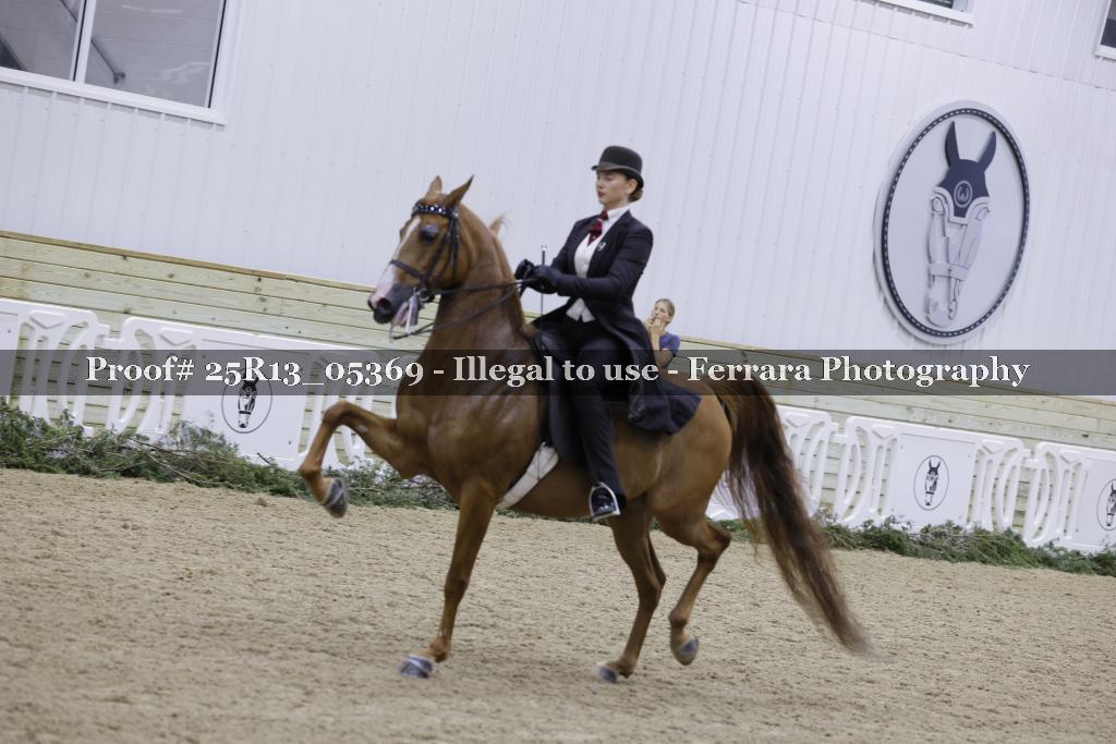 Proof 25R13_05369
