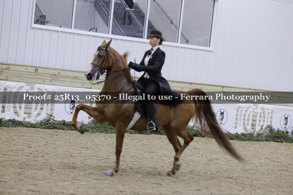 Proof 25R13_05370