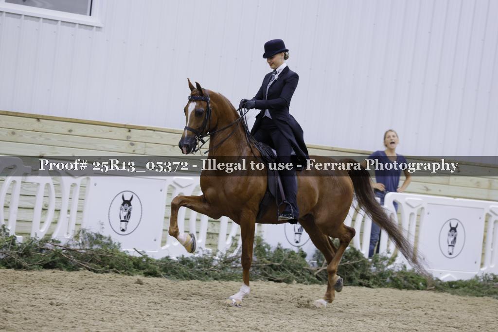 Proof 25R13_05372