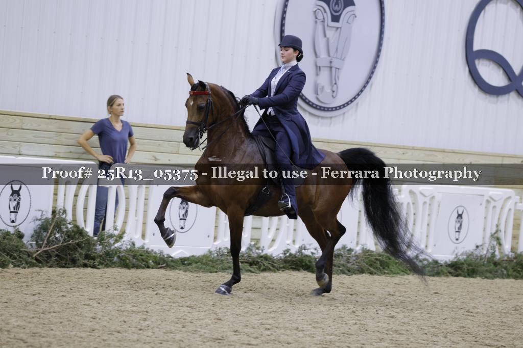 Proof 25R13_05375