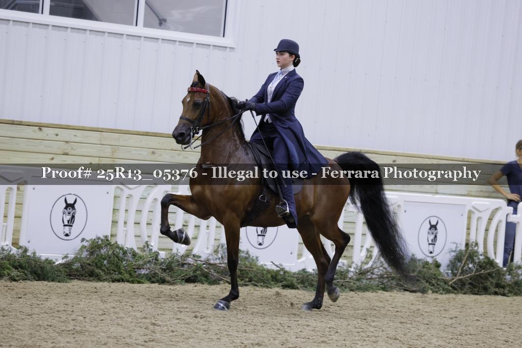 Proof 25R13_05376