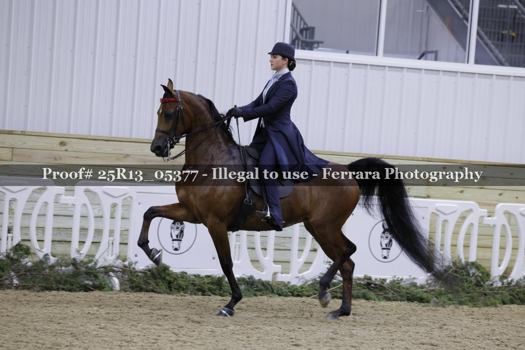 Proof 25R13_05377