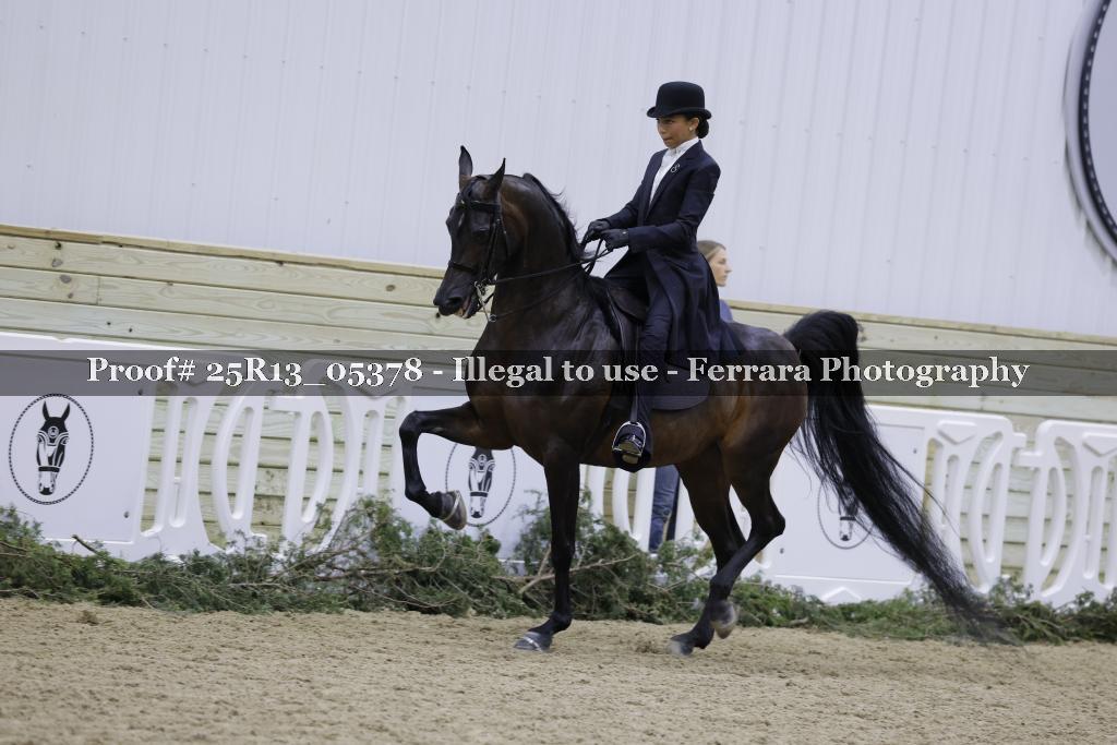 Proof 25R13_05378