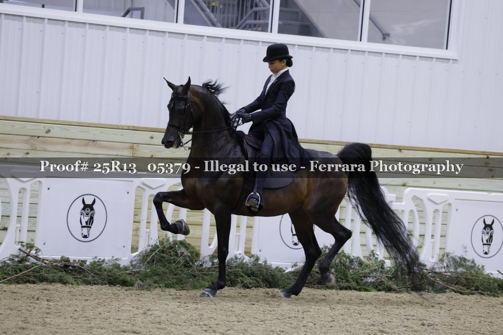 Proof 25R13_05379