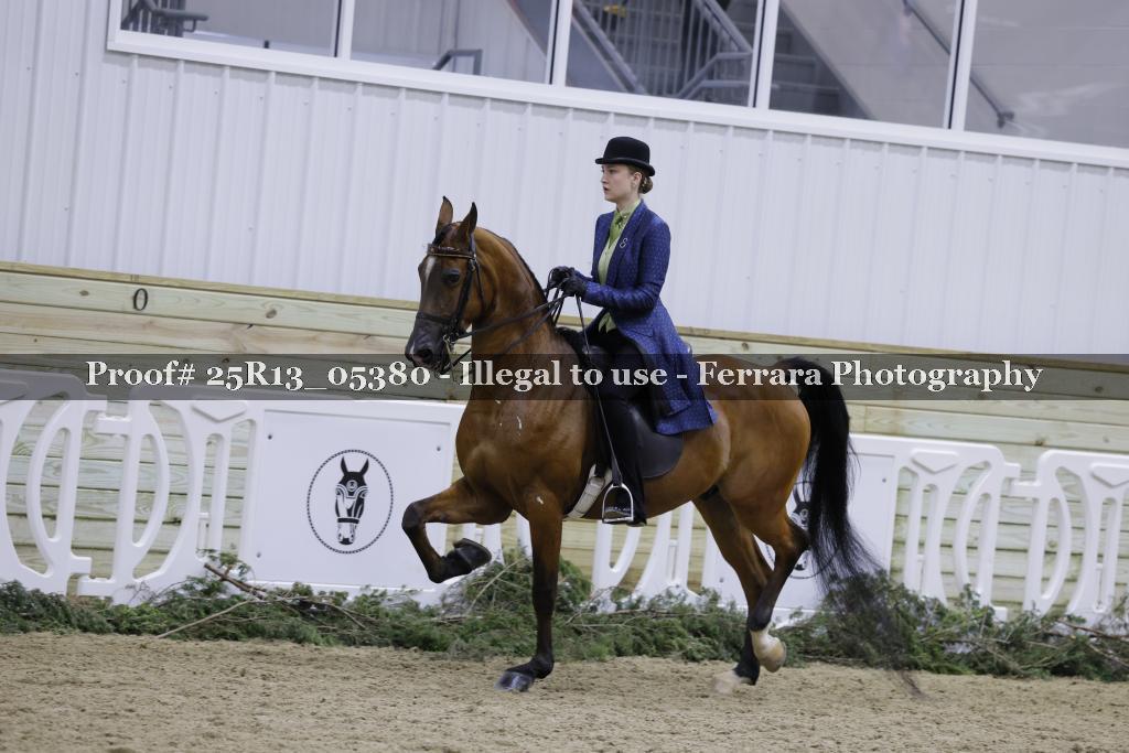 Proof 25R13_05380