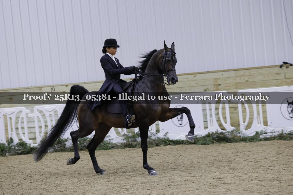 Proof 25R13_05381