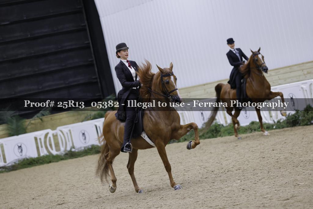 Proof 25R13_05382
