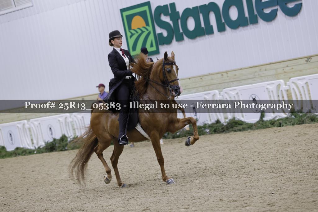Proof 25R13_05383