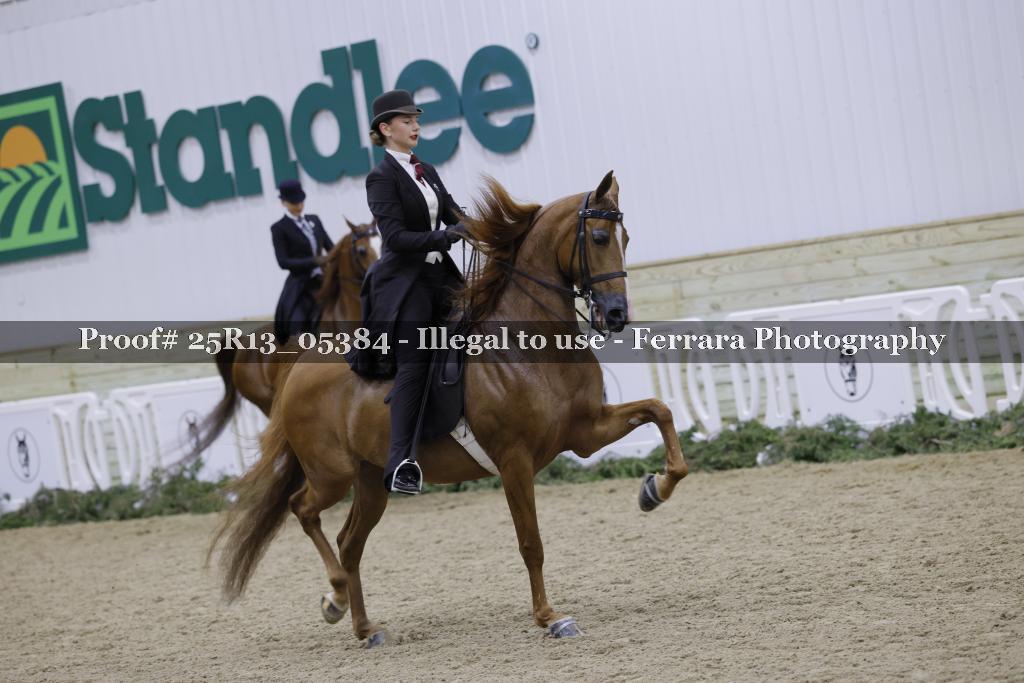 Proof 25R13_05384