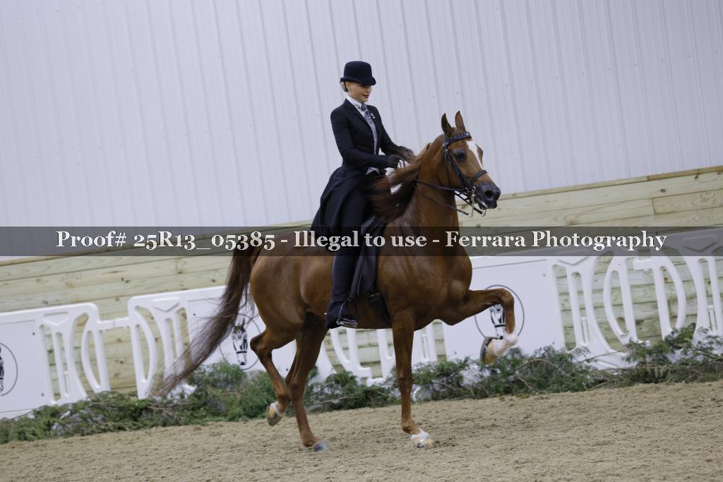 Proof 25R13_05385