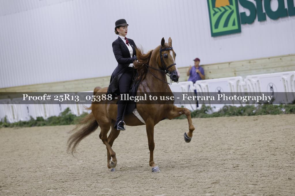 Proof 25R13_05388