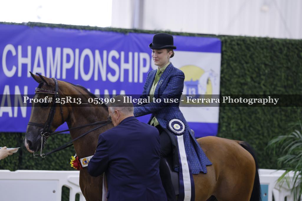 Proof 25R13_05390