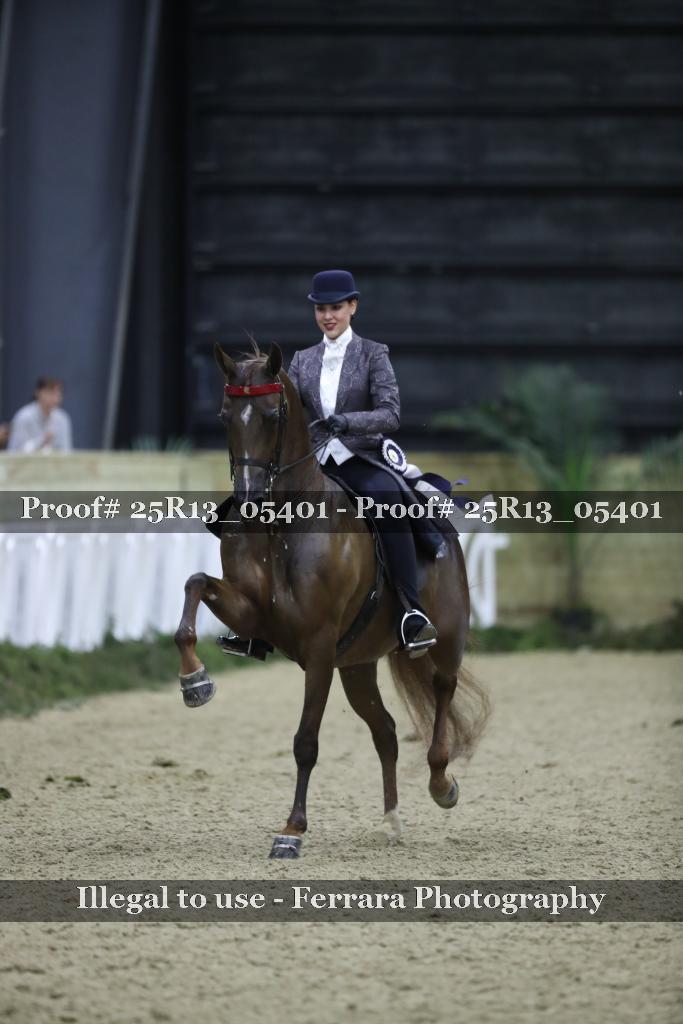 Proof 25R13_05401