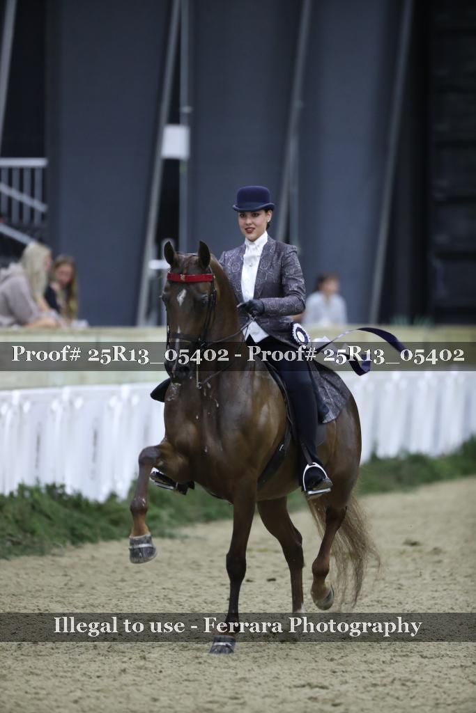 Proof 25R13_05402