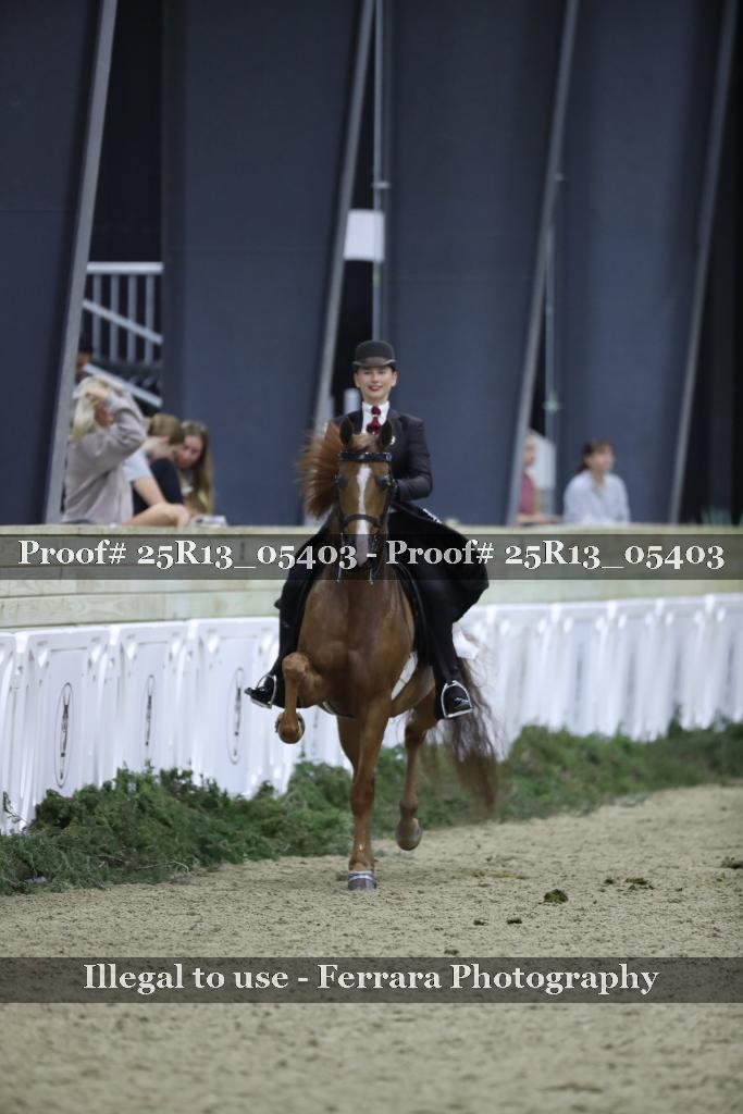 Proof 25R13_05403
