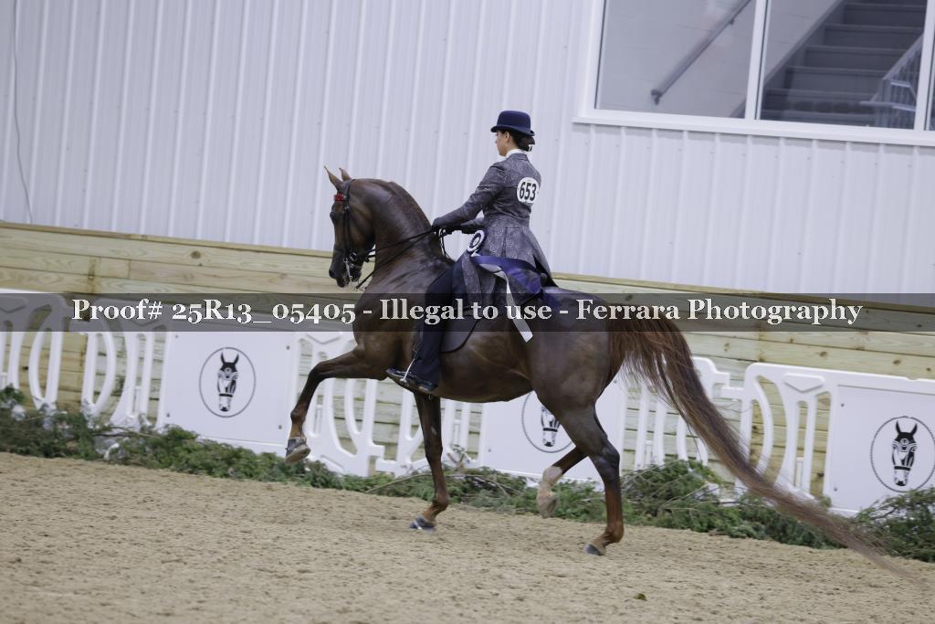 Proof 25R13_05405