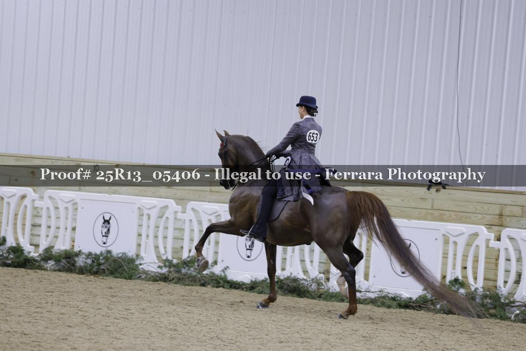 Proof 25R13_05406