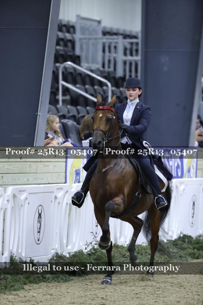 Proof 25R13_05407