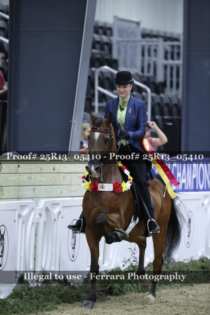 Proof 25R13_05410