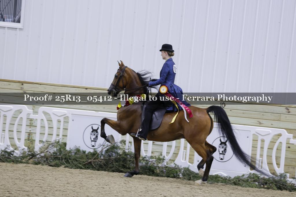 Proof 25R13_05412