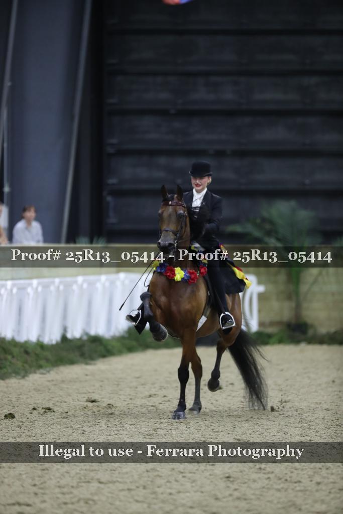 Proof 25R13_05414