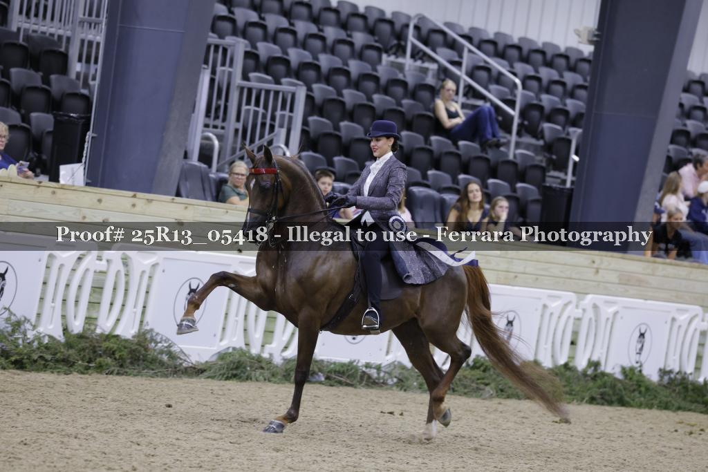 Proof 25R13_05418