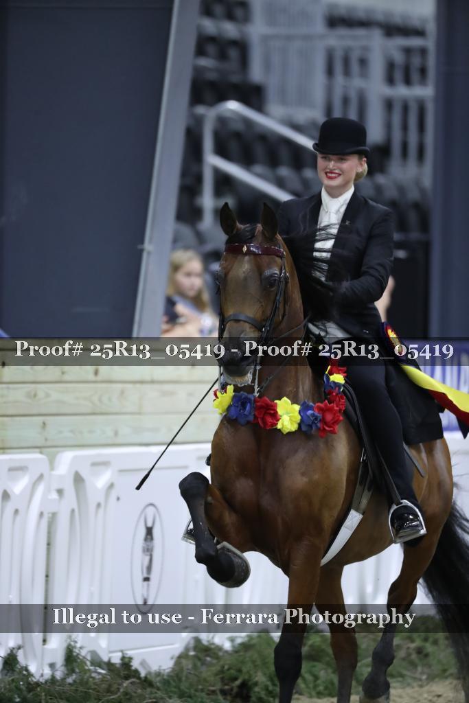 Proof 25R13_05419