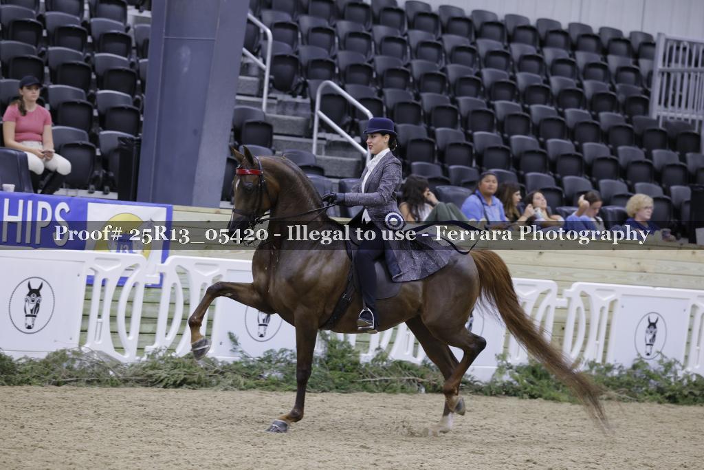 Proof 25R13_05420
