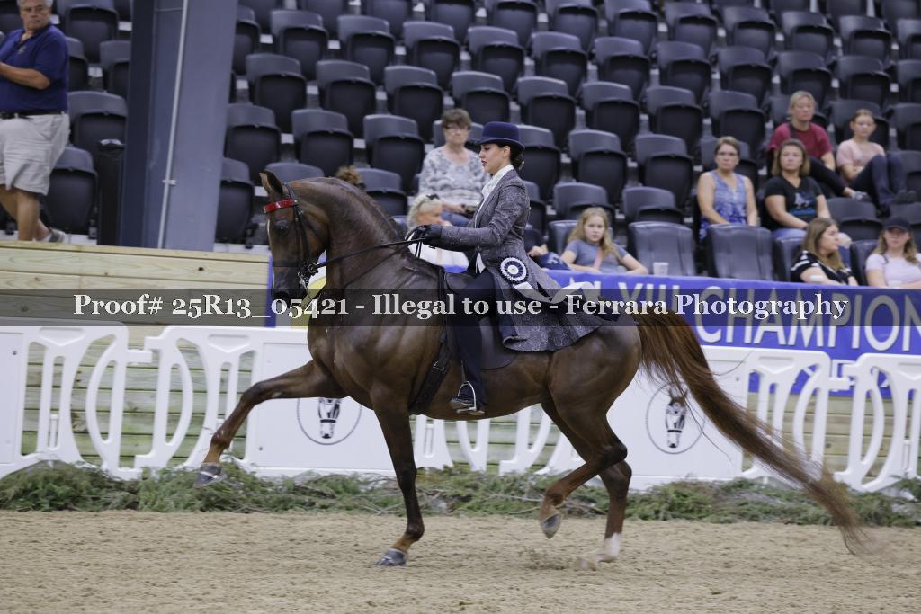 Proof 25R13_05421