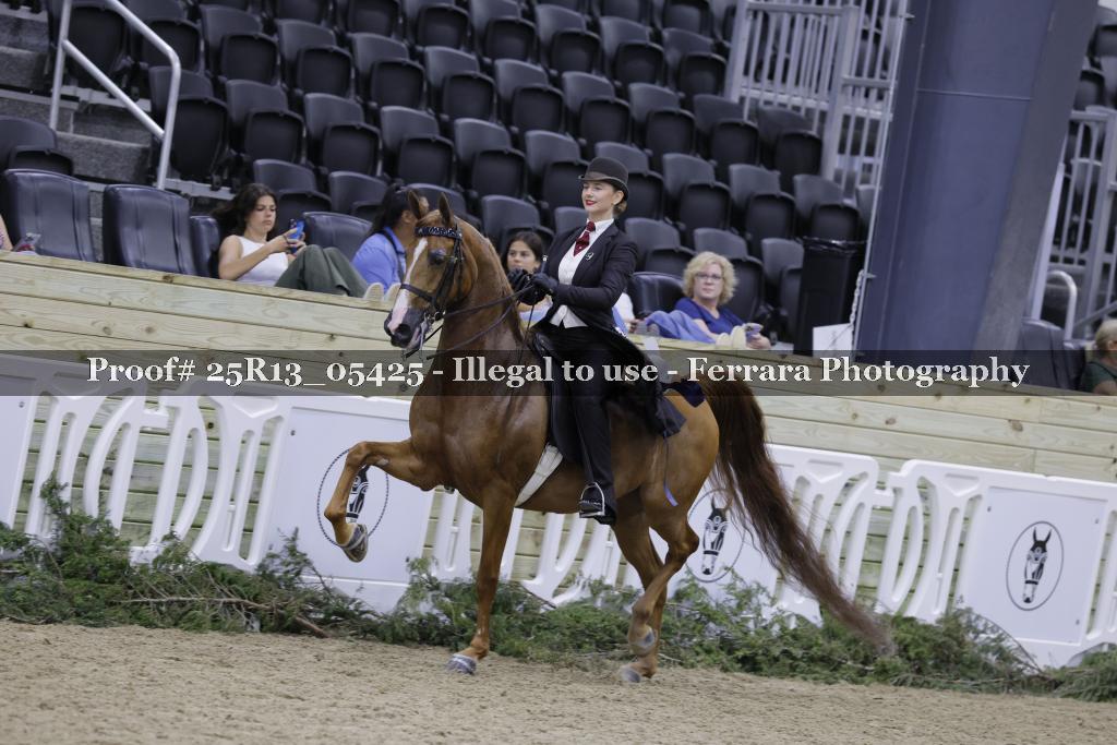 Proof 25R13_05425