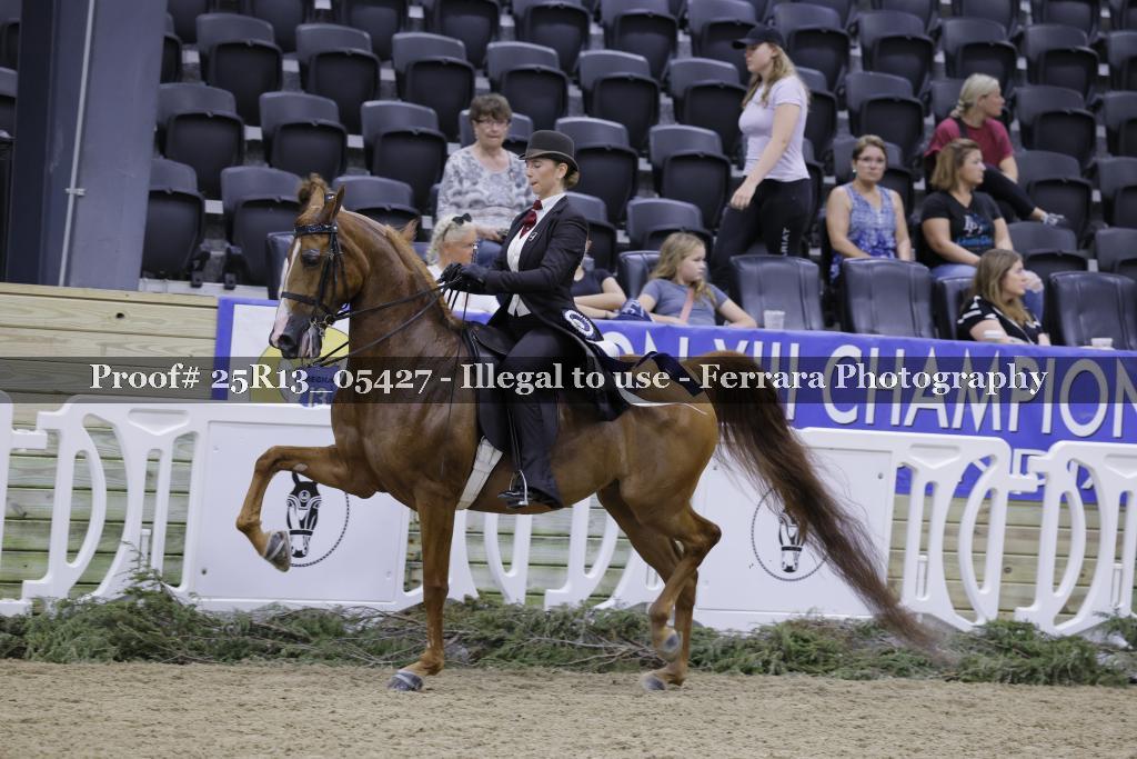 Proof 25R13_05427