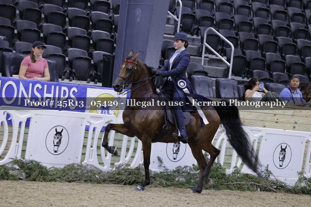 Proof 25R13_05429