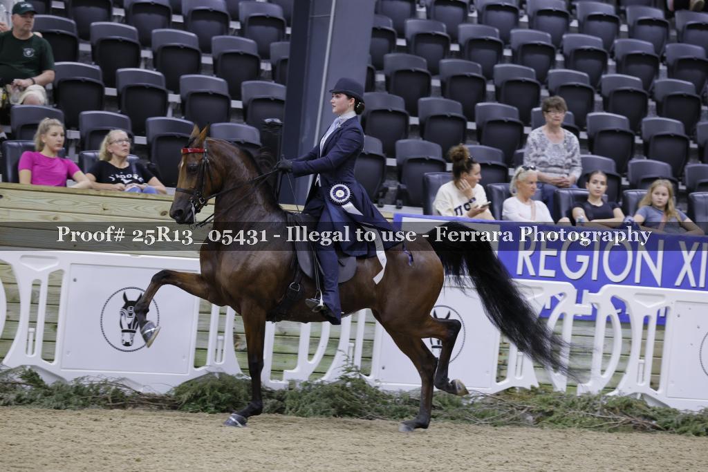 Proof 25R13_05431