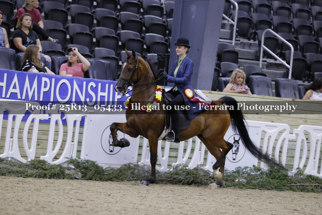 Proof 25R13_05433