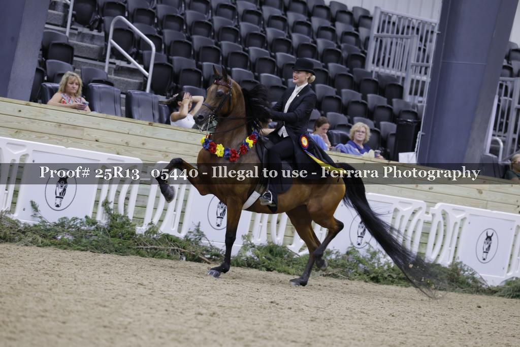 Proof 25R13_05440