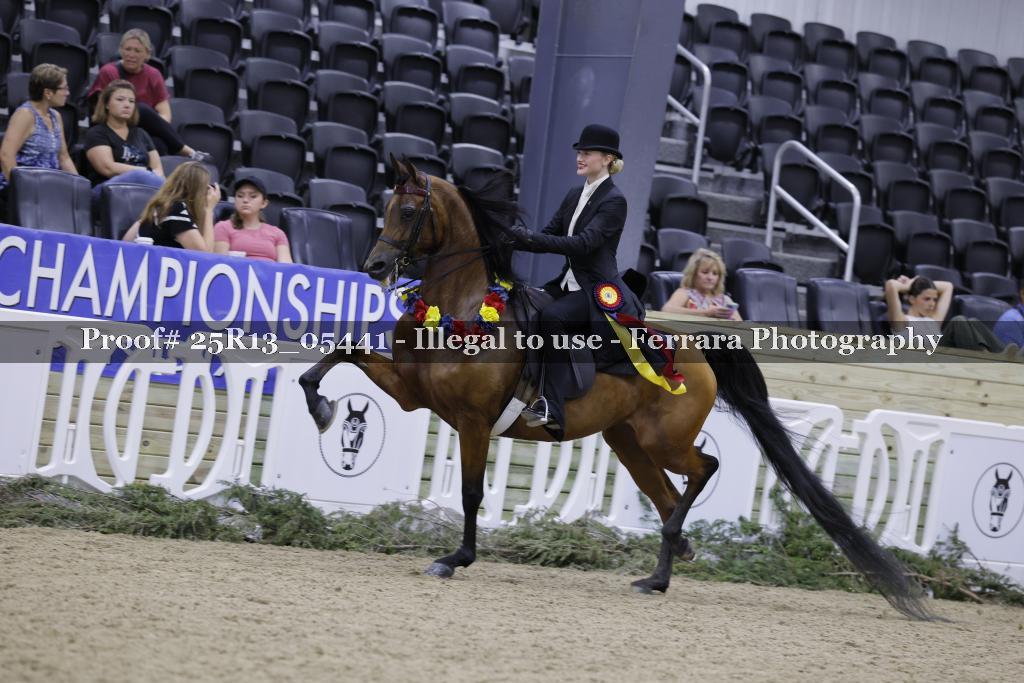 Proof 25R13_05441