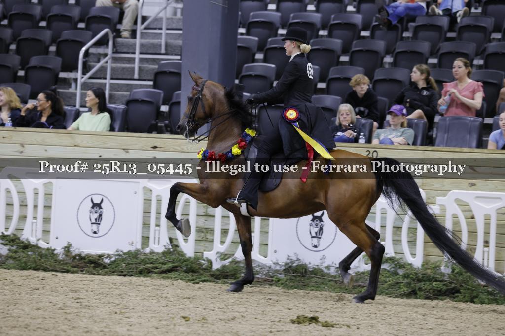 Proof 25R13_05445