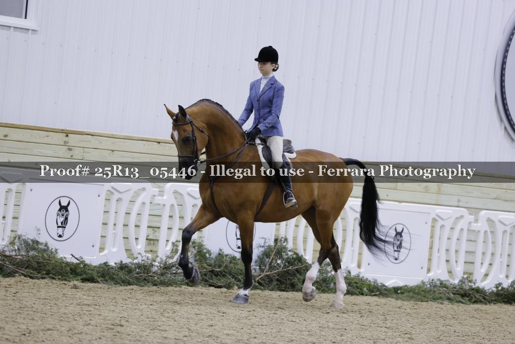 Proof 25R13_05446