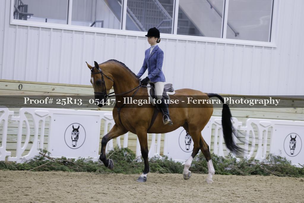 Proof 25R13_05447