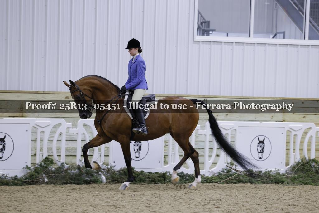 Proof 25R13_05451