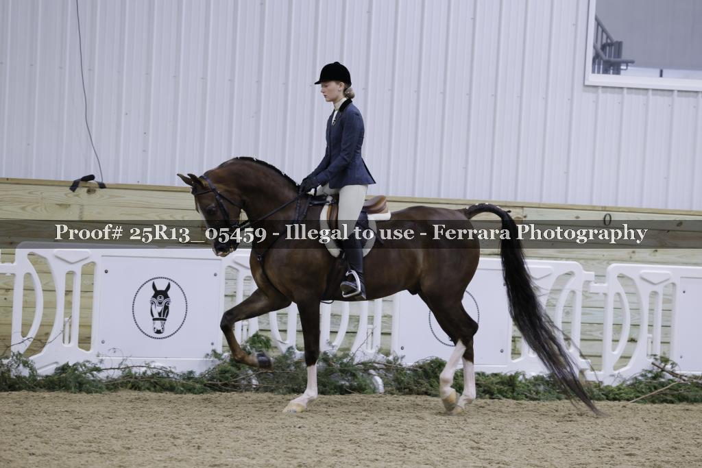 Proof 25R13_05459
