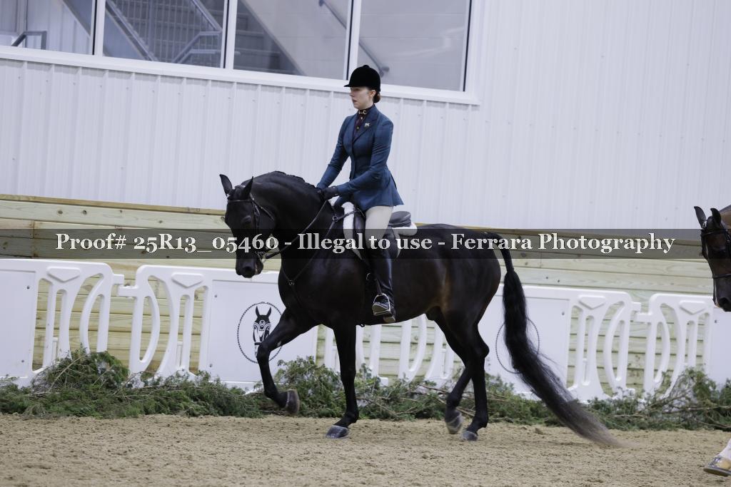 Proof 25R13_05460
