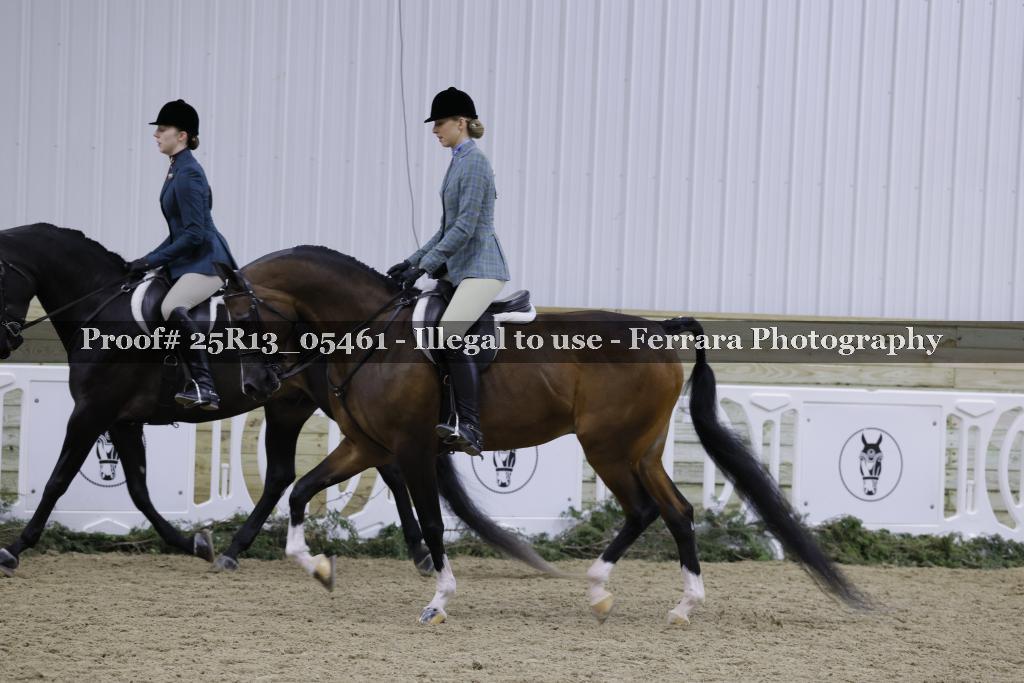 Proof 25R13_05461