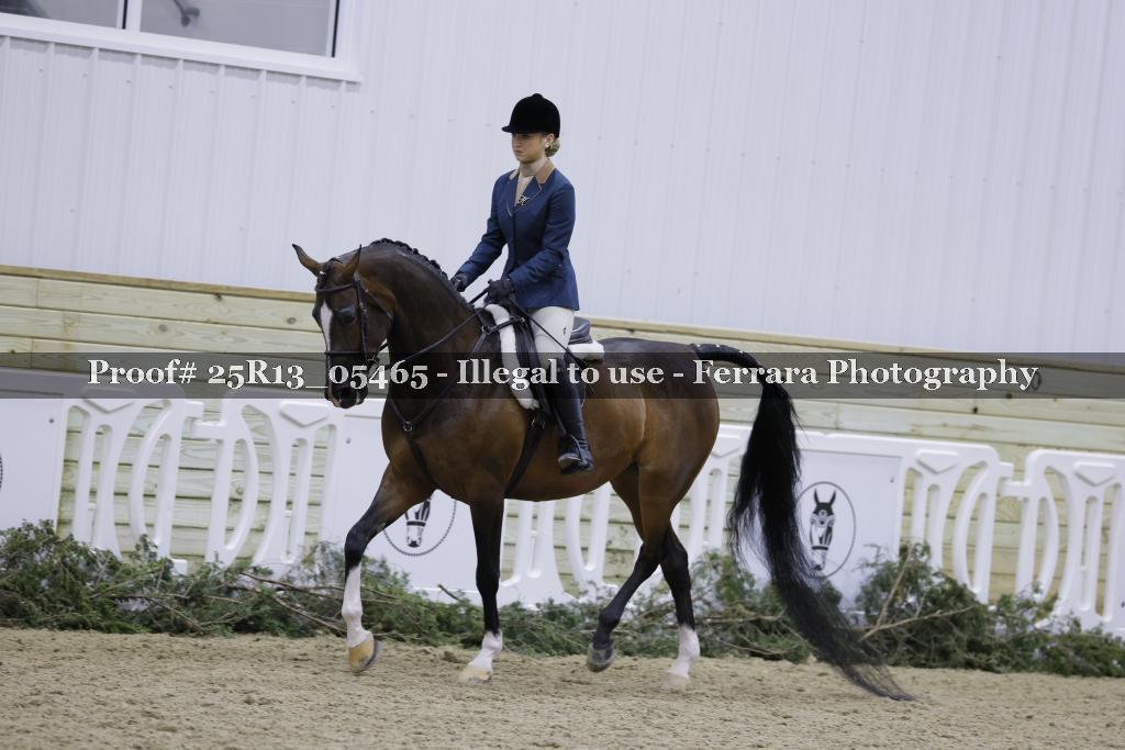 Proof 25R13_05465