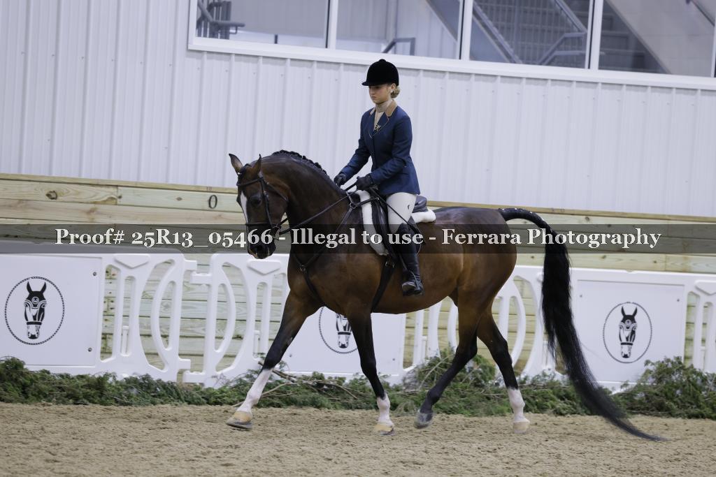 Proof 25R13_05466
