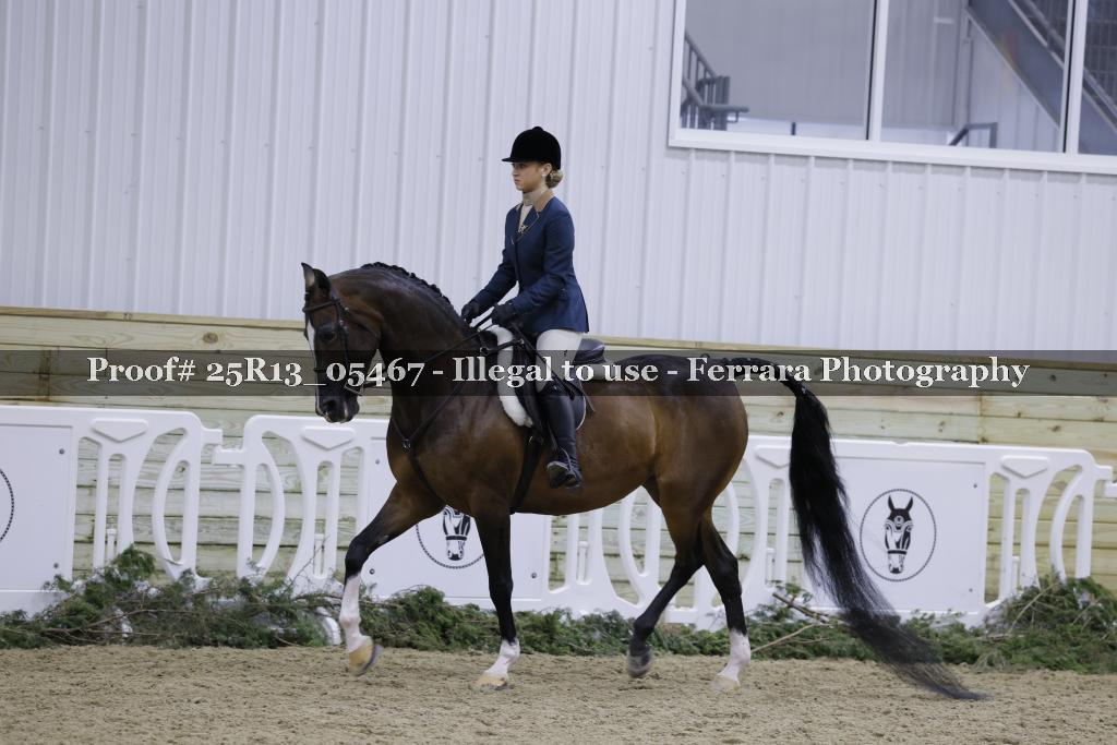 Proof 25R13_05467