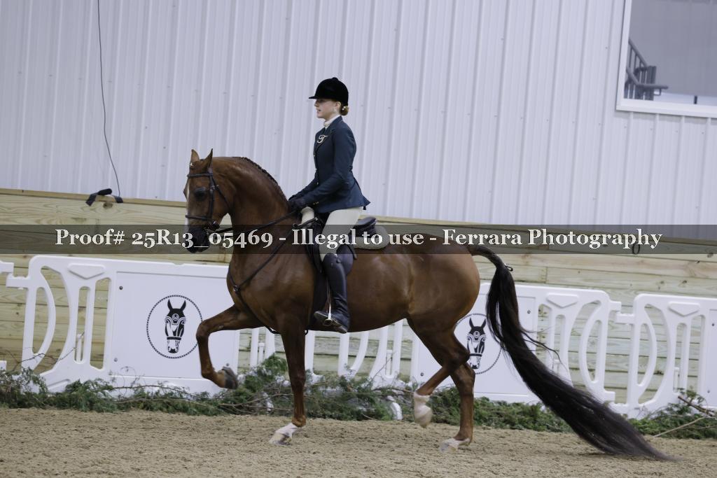 Proof 25R13_05469
